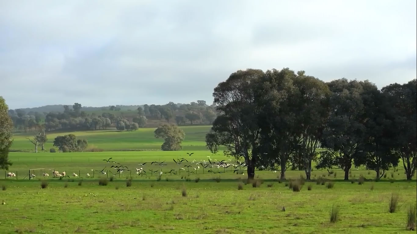 Meet Science at ANU PhD candidate Donna Belder