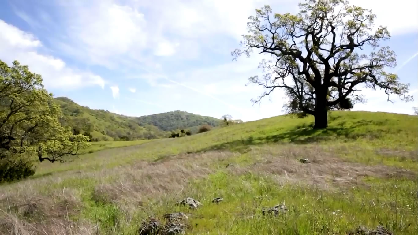 Advanced environmental sensor network at Berkeley's nature reserve